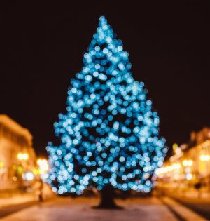 city-tree-bokeh-christmas