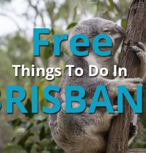 Free Things To Do In Brisbane