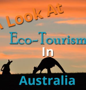 A Look At Eco-Tourism In Australia