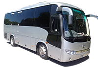 silver coach