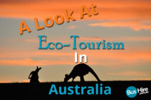 A Look At Eco-Tourism In Australia