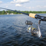 Things To Do In The City Of Lake Macquarie, Australia