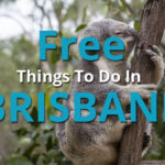 Free Things To Do In Brisbane