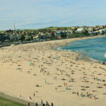 Things To Do In Bondi Beach